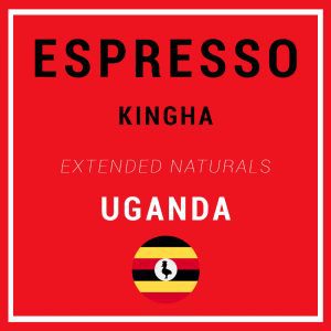 Espresso Kingha – Uganda – Single-lot Espresso